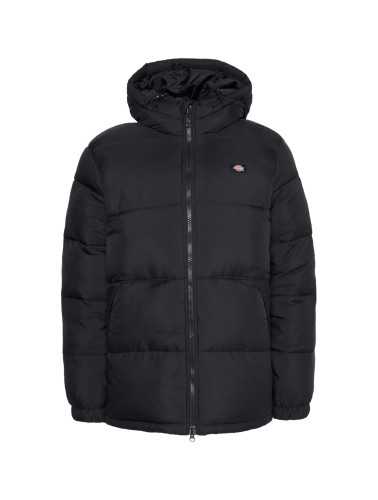 Dickies Jacket Man