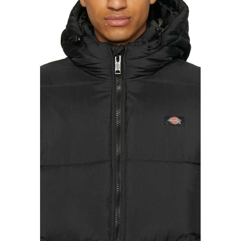 Dickies Jacket Man