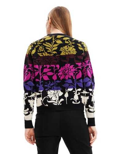 Desigual Sweater Woman