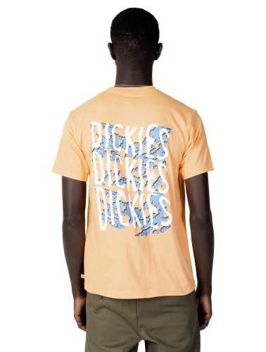 Dickies T-Shirt Man