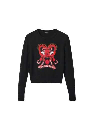 Desigual Sweater Woman