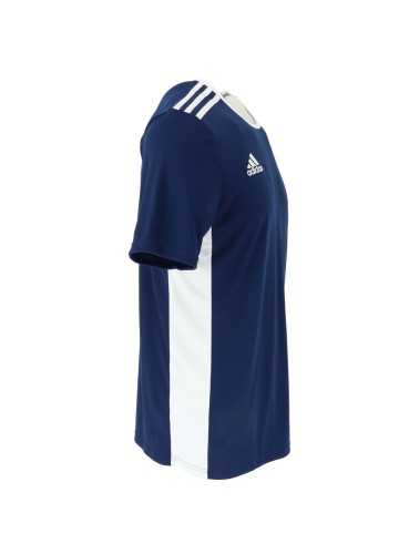 Adidas T-Shirt Man