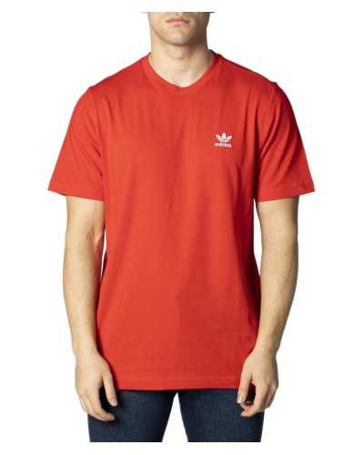 Adidas T-Shirt Man